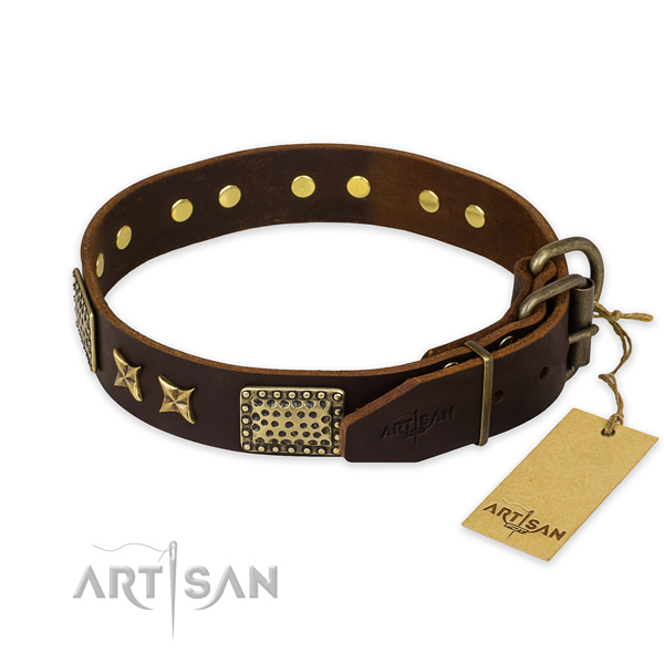 Daily use leather collar with embellishments for your dog