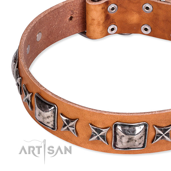 Easy to use leather dog collar with extra strong brass plated buckle