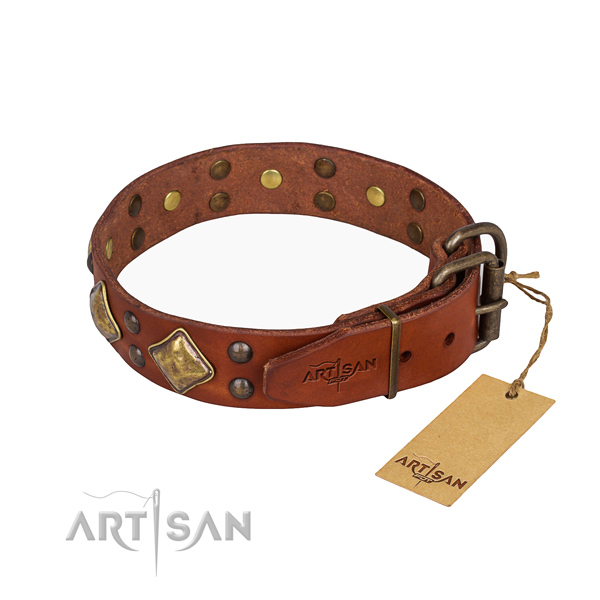 Awesome leather collar for your elegant dog