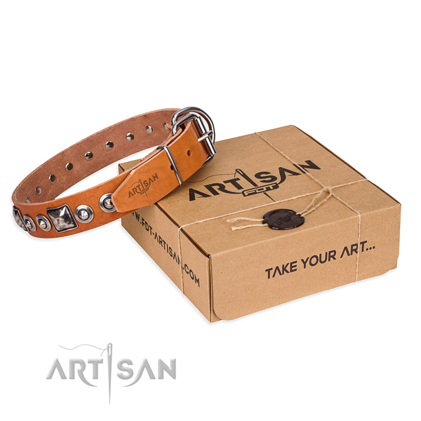 Incredible full grain natural leather dog collar for walking