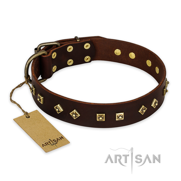 Unusual design studs on full grain natural leather dog collar