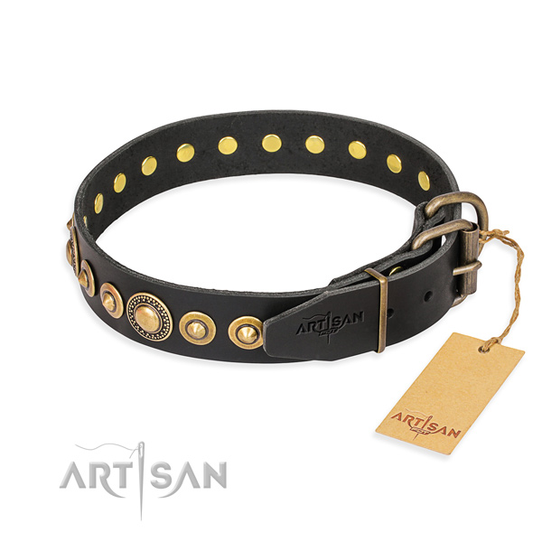 Versatile leather collar for your beloved canine