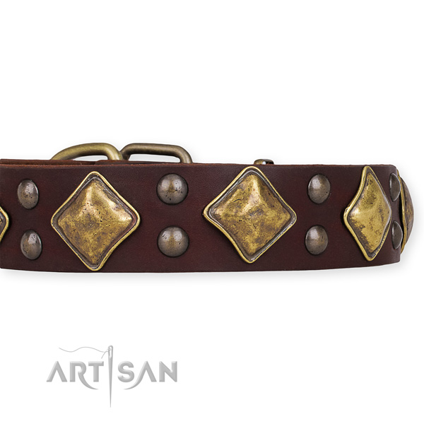 Adjustable leather dog collar with extra sturdy rust-proof buckle
