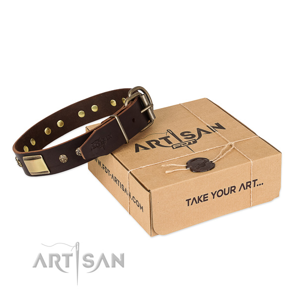 Stylish design genuine leather dog collar for walking