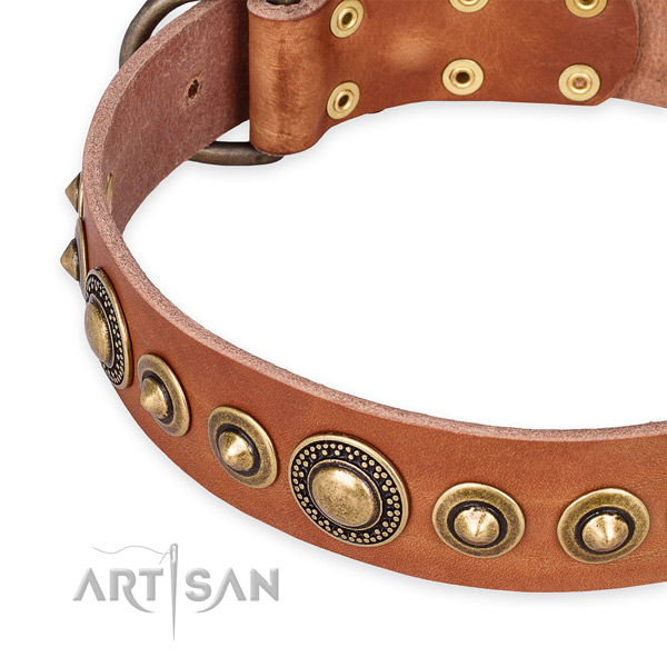 Adjustable leather dog collar with extra strong rust-proof fittings