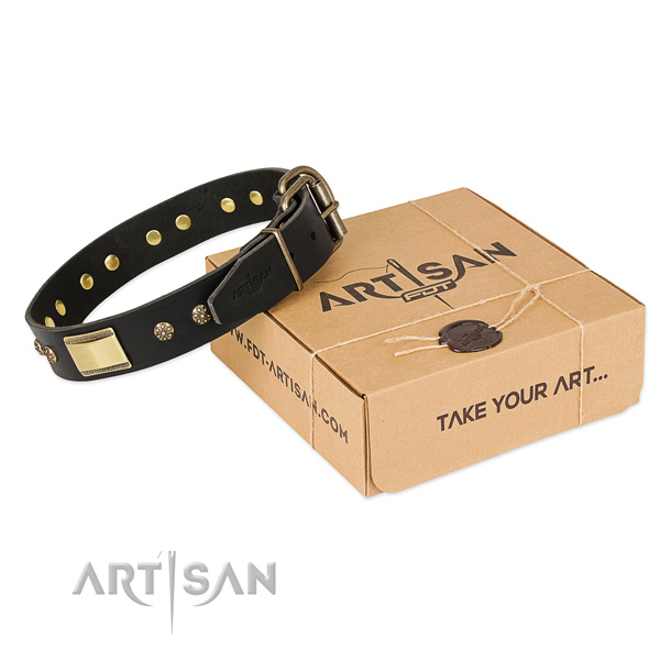 Trendy full grain natural leather dog collar for everyday walking
