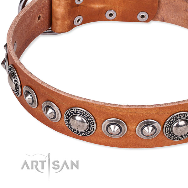 Adjustable leather dog collar with extra sturdy non-rusting buckle