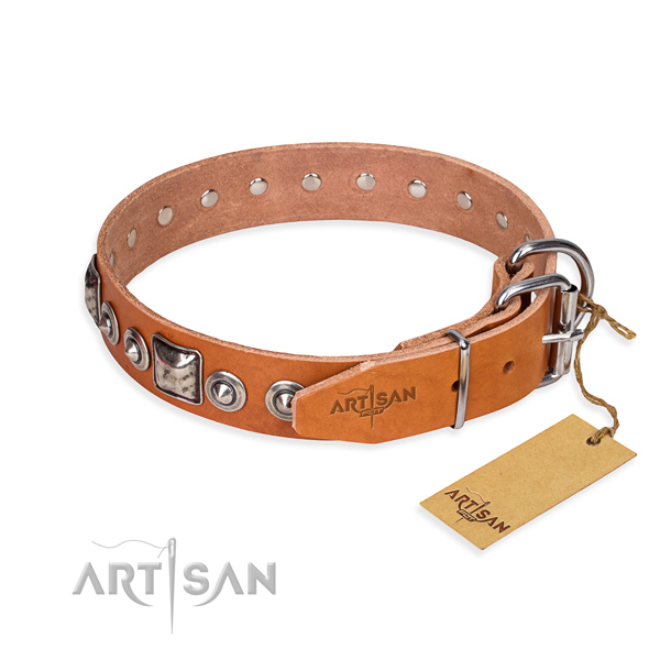 Durable leather collar for your stunning dog