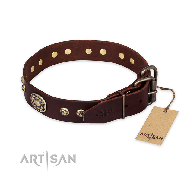 Awesome genuine leather dog collar for stylish walking