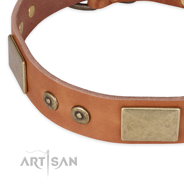 Daily walking full grain natural leather collar with rust-proof buckle and D-ring