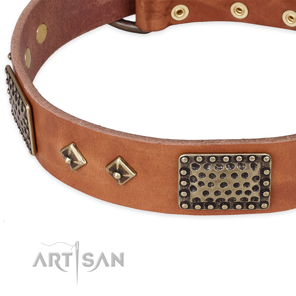 Everyday use full grain natural leather collar with corrosion proof buckle and D-ring