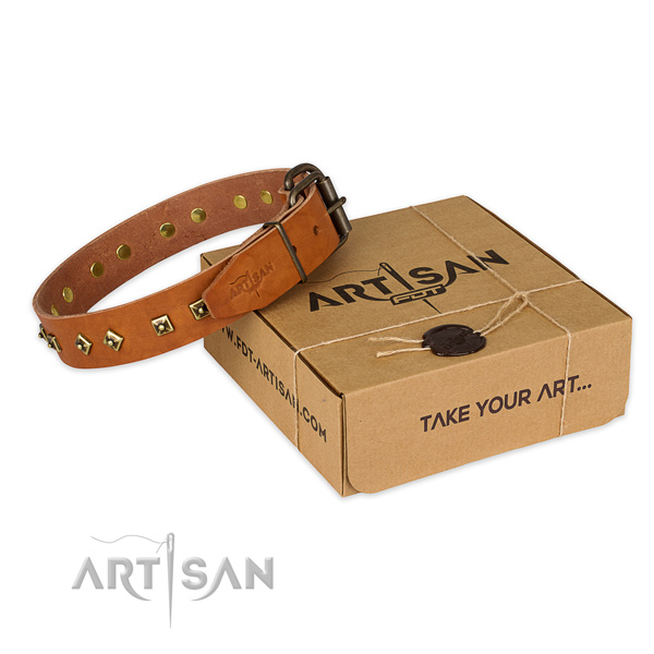 Perfect fit full grain natural leather dog collar for everyday walking