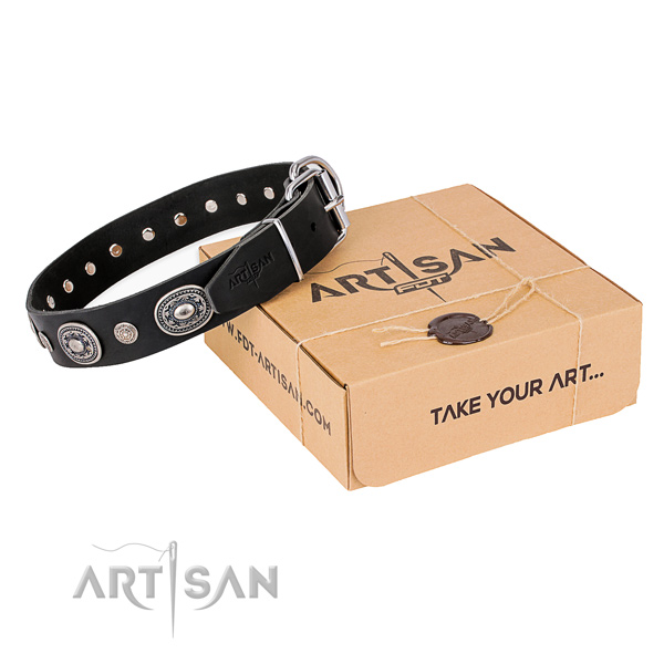 Designer leather dog collar for walking in style