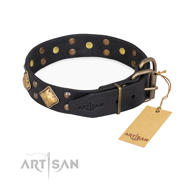 Tear-proof leather collar for your gorgeous four-legged friend