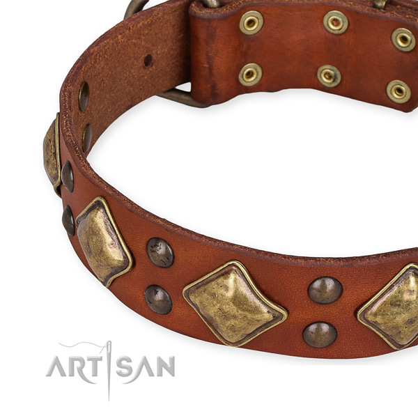 Easy to put on/off leather dog collar with almost unbreakable durable fittings