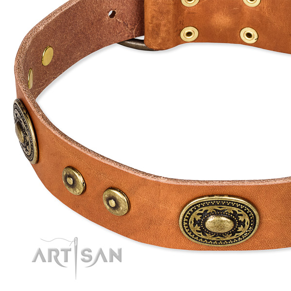 Easy to put on/off leather dog collar with extra strong durable set of hardware