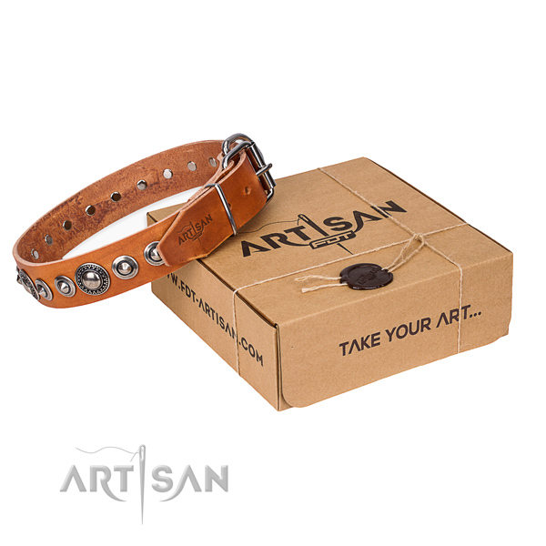 Perfect fit full grain leather dog collar for daily walking