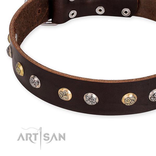 Easy to use leather dog collar with extra strong durable buckle and D-ring