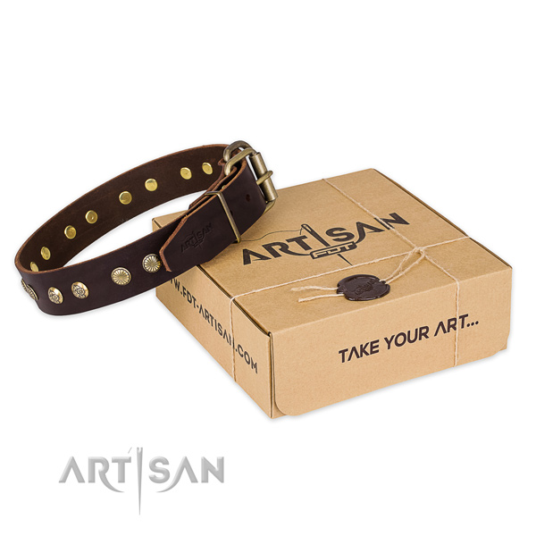 High quality full grain natural leather dog collar for walking in style