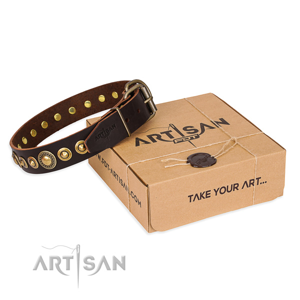 Finest quality leather dog collar for walking in style
