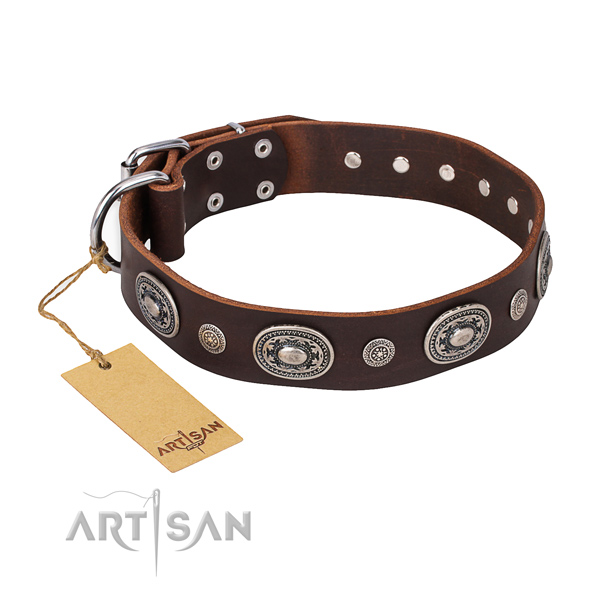 Trendy design decorations on leather dog collar