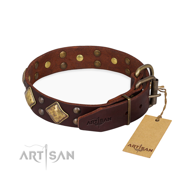 Durable leather collar for your elegant pet