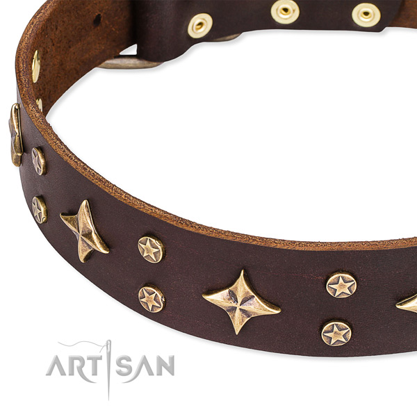 Easy to adjust leather dog collar with resistant to tear and wear brass plated set of hardware