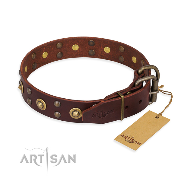 Stylish walking full grain leather collar with adornments for your four-legged friend