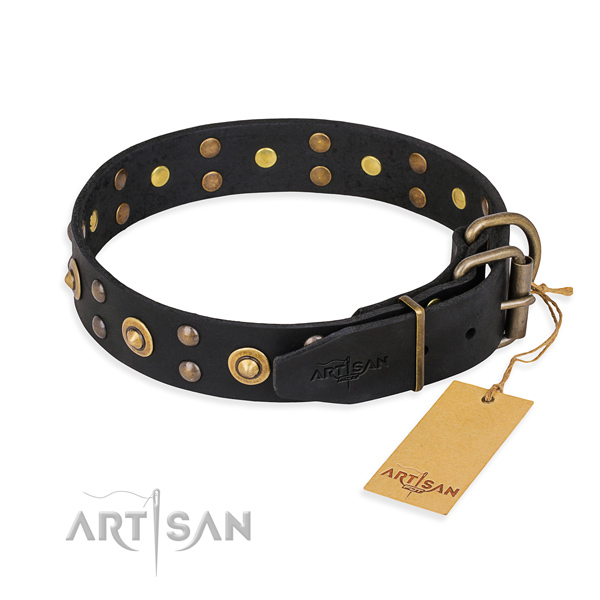 Daily use leather collar with adornments for your four-legged friend