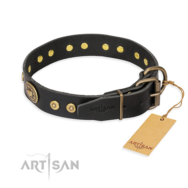 Multifunctional leather collar for your stunning four-legged friend