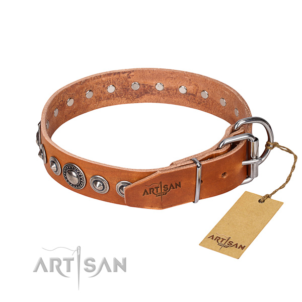 Everyday leather collar for your handsome canine