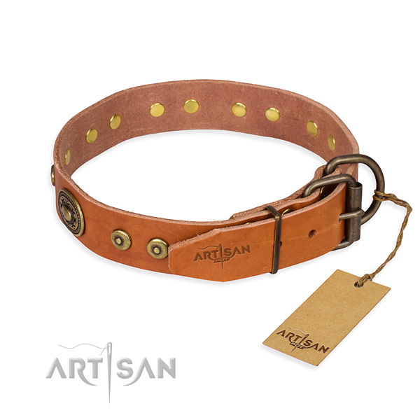 Tear-proof leather collar for your elegant pet