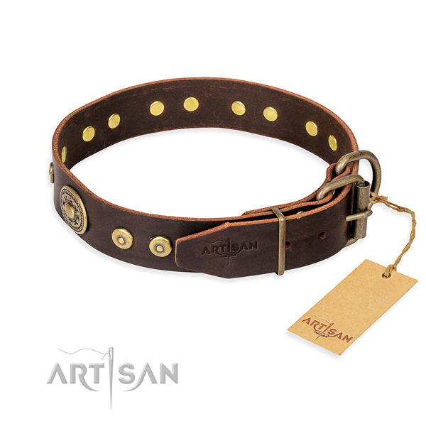 Durable leather collar for your darling four-legged friend