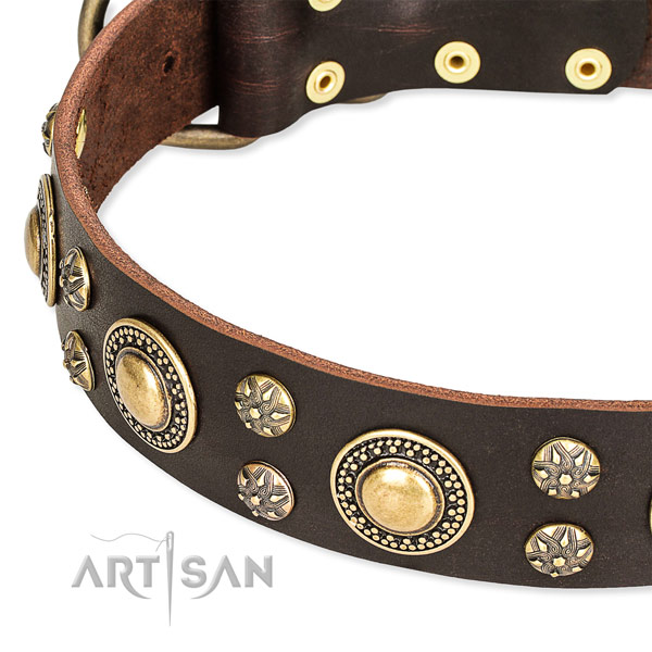 Easy to put on/off leather dog collar with extra sturdy hardware