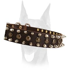 Extra strong spiked collar for Doberman