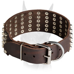 Wide leather Doberman collar