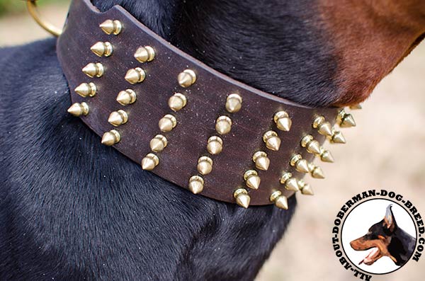 Handcrafted leather Doberman collar with spikes