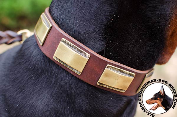 Strong leather decorated collar for active Doberman
