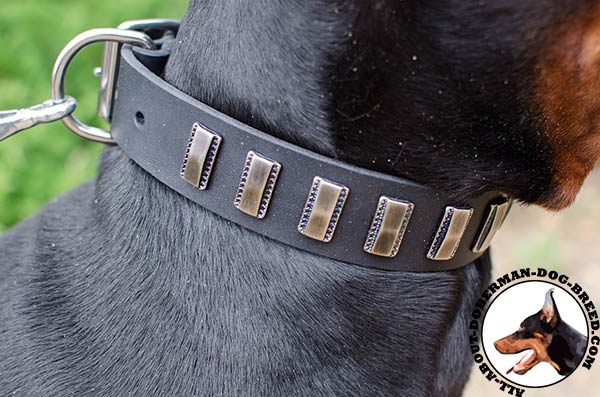Fancy leather collar with vintage plates