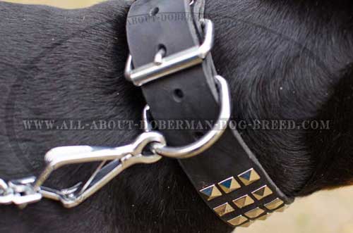 Strong D-ring for leash attachment