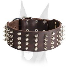 Spiked and studded Doberman collar