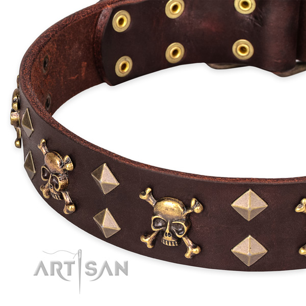 Casual style leather Doberman collar with astonishing studs