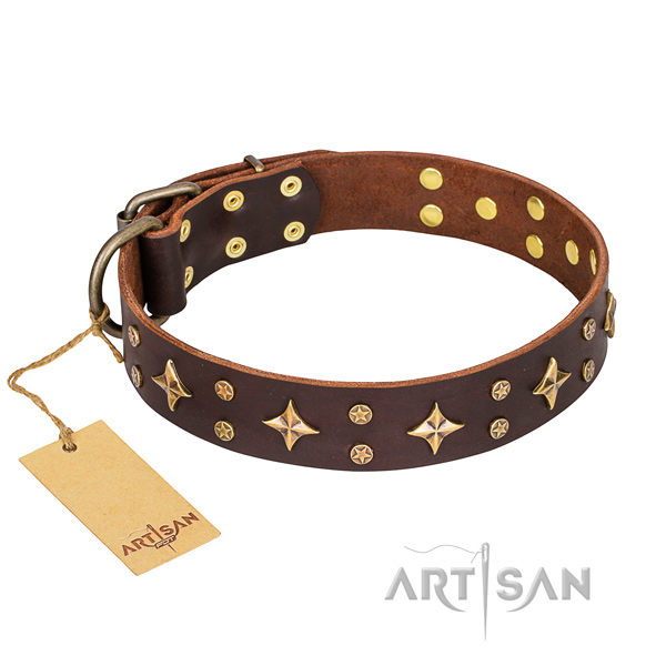 Reliable leather dog collar with riveted fittings