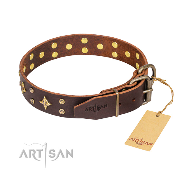 Multifunctional leather collar for your favourite four-legged friend