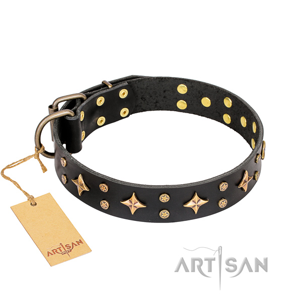 Dependable leather dog collar with corrosion-resistant elements