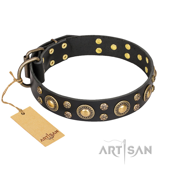 Hardwearing leather dog collar with riveted elements