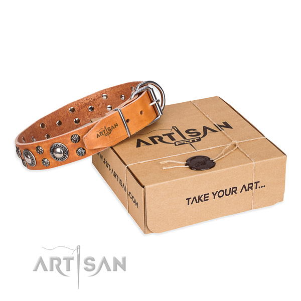 Day-to-day leather dog collar with fashionable adornments