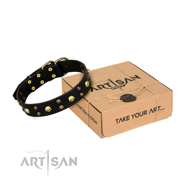 Daily leather dog collar with fashionable adornments