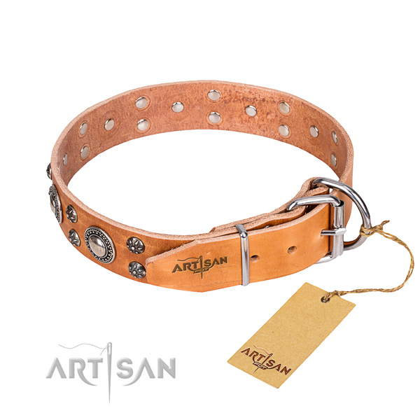 Versatile leather collar for your noble four-legged friend