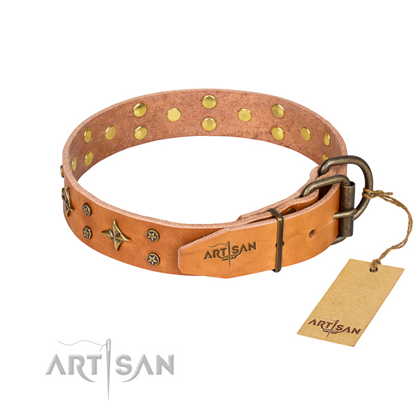 Practical leather collar for your noble canine